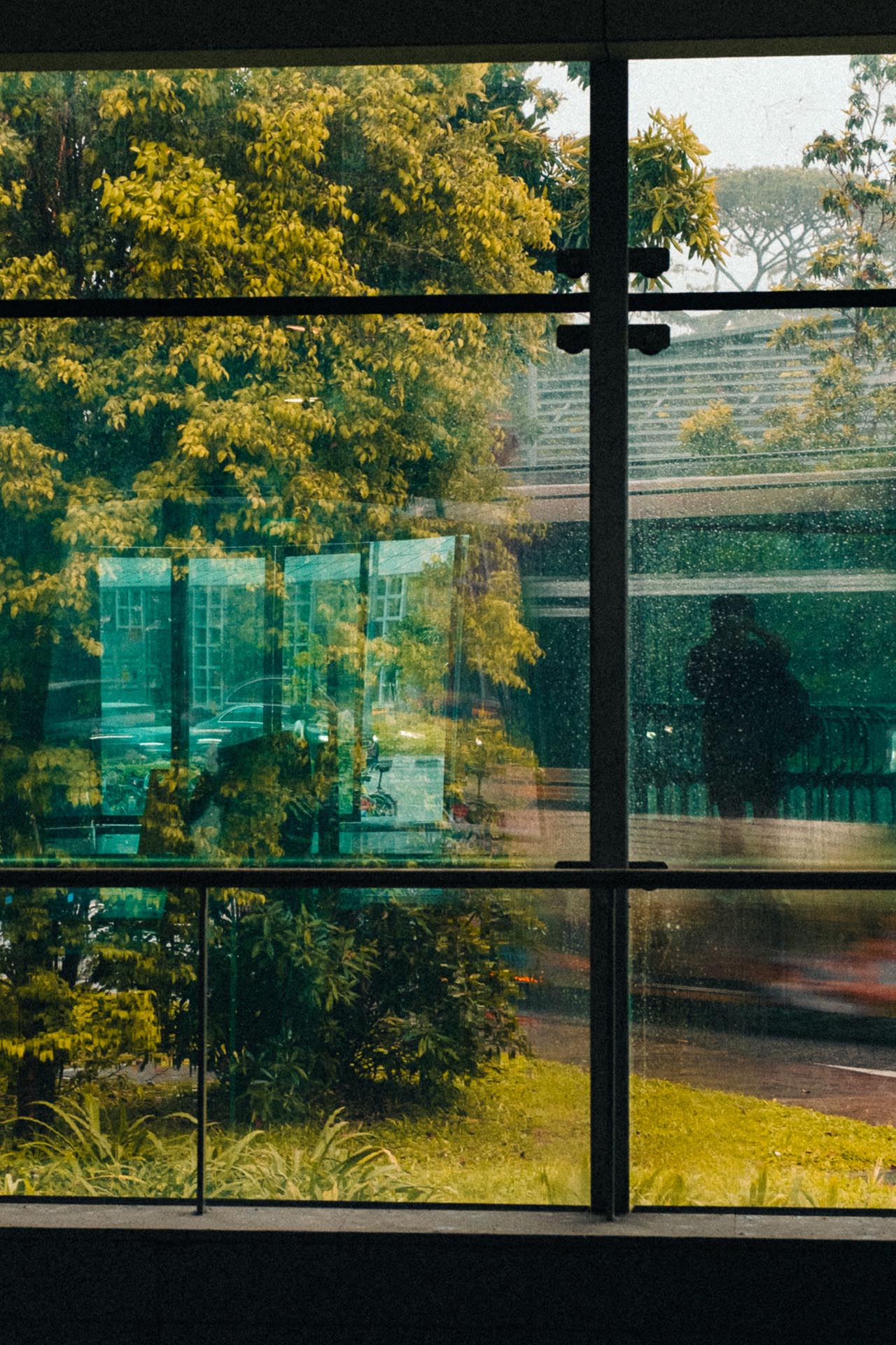 Street Photography